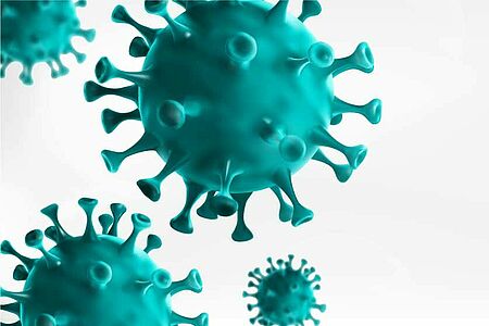 Corona Virus