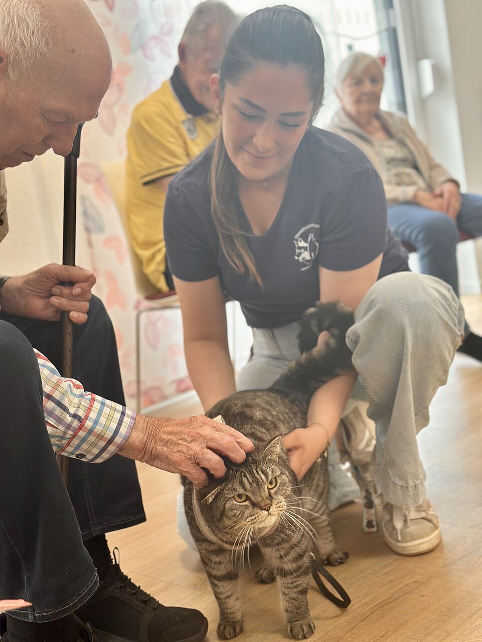 Senior streichelt Katze Älterer Herr streichelt Katze